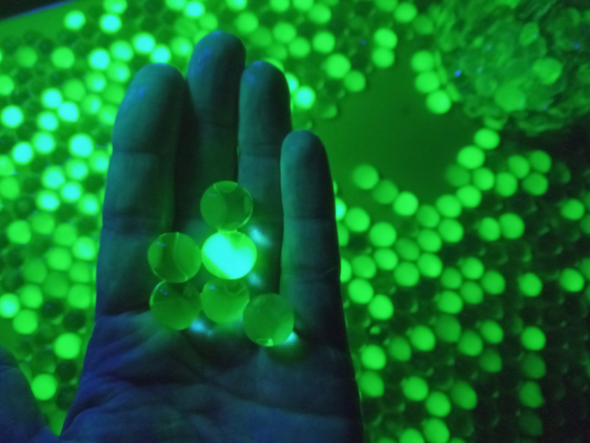 Exploding Orbeez Glowing Orbeez Halloween Science | Sciencedipity Science