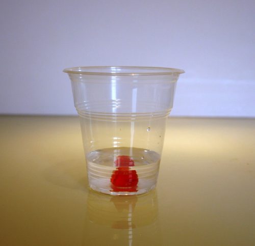 Gummy Bear Osmosis Experiment Devon Science