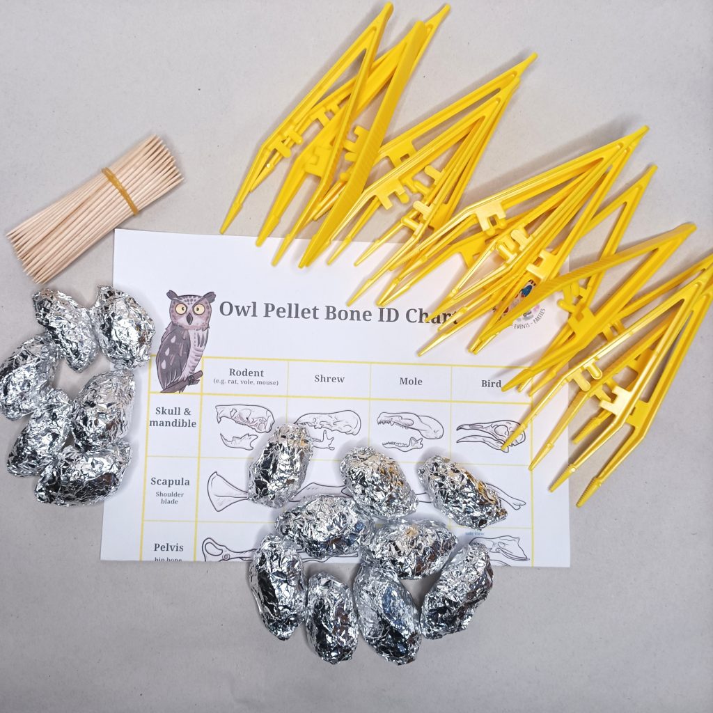 Science Kits | Owl Pellet Dissecting Kit Class Set