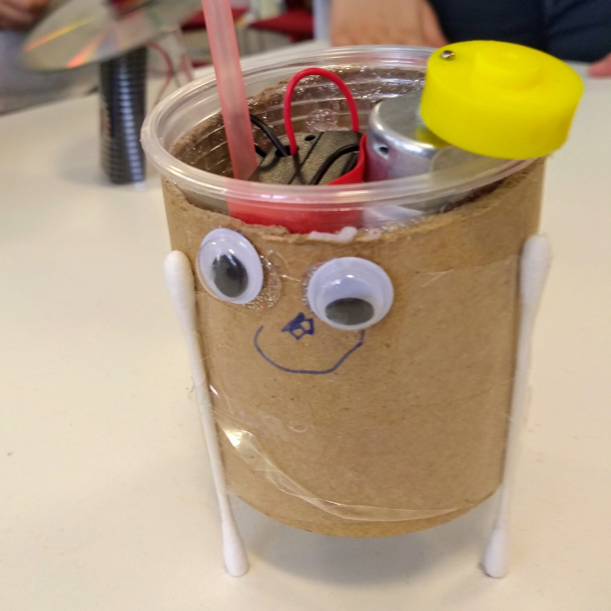 science workshops with Devon Science – robots
